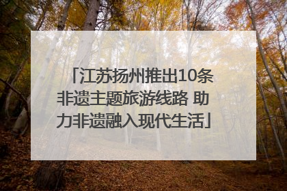 江苏扬州推出10条非遗主题旅游线路 助力非遗融入现代生活