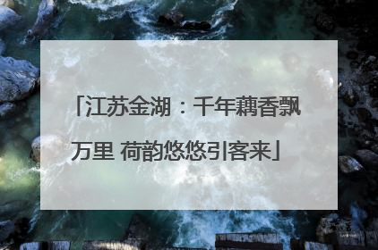 江苏金湖:千年藕香飘万里 荷韵悠悠引客来