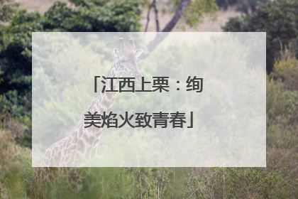 江西上栗：绚美焰火致青春