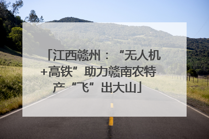 江西赣州：“无人机+高铁”助力赣南农特产“飞”出大山