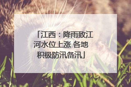 江西：降雨致江河水位上涨 各地积极防汛备汛