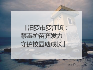 汨罗市罗江镇：禁毒护苗齐发力 守护校园助成长