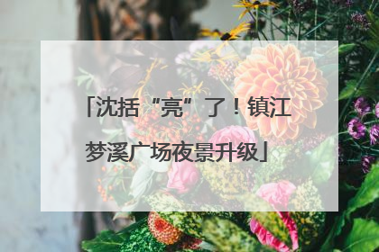 沈括“亮”了！镇江梦溪广场夜景升级