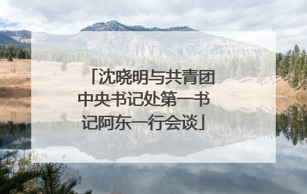 沈晓明与共青团中央书记处第一书记阿东一行会谈