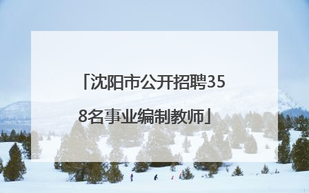 沈阳市公开招聘358名事业编制教师