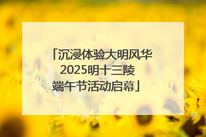 沉浸体验大明风华 2025明十三陵端午节活动启幕