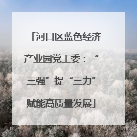 河口区蓝色经济产业园党工委：“三强”提“三力”赋能高质量发展