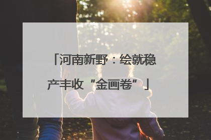 河南新野：绘就稳产丰收“金画卷”