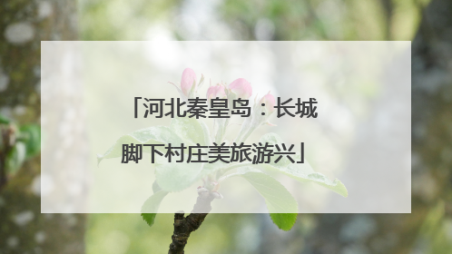 河北秦皇岛：长城脚下村庄美旅游兴