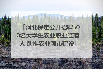 河北保定公开招聘500名大学生农业职业经理人 助推农业强市建设