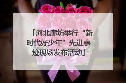 河北廊坊举行“新时代好少年”先进事迹现场发布活动