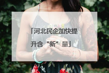 河北民企加快提升含“新”量