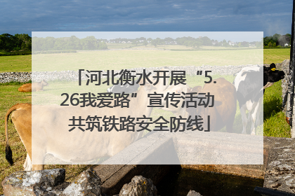 河北衡水开展“5.26我爱路”宣传活动 共筑铁路安全防线