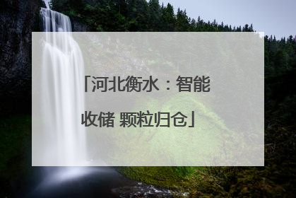 河北衡水：智能收储 颗粒归仓