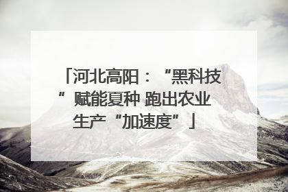 河北高阳：“黑科技”赋能夏种 跑出农业生产“加速度”
