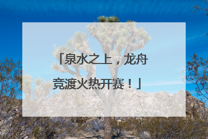 泉水之上，龙舟竞渡火热开赛！