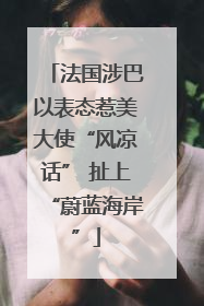 法国涉巴以表态惹美大使“风凉话” 扯上“蔚蓝海岸”