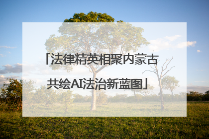 法律精英相聚内蒙古 共绘AI法治新蓝图