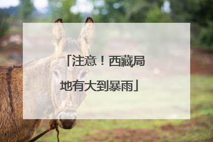 注意！西藏局地有大到暴雨