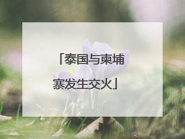 泰国与柬埔寨发生交火