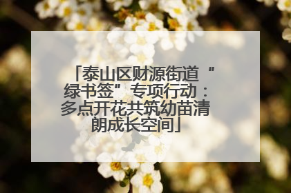 泰山区财源街道“绿书签”专项行动：多点开花共筑幼苗清朗成长空间