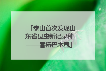泰山首次发现山东省昆虫新记录种——香椿巴木虱