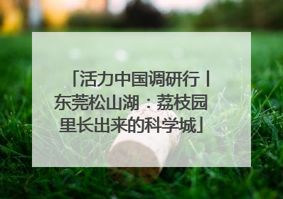 活力中国调研行丨东莞松山湖：荔枝园里长出来的科学城