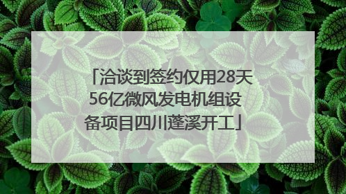洽谈到签约仅用28天 56亿微风发电机组设备项目四川蓬溪开工