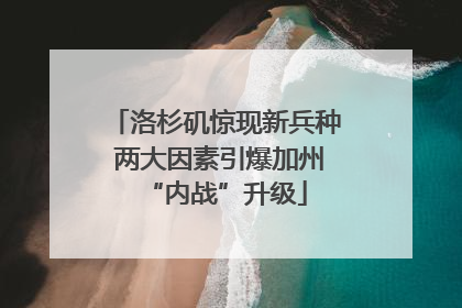 洛杉矶惊现新兵种 两大因素引爆加州“内战”升级