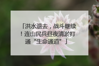 洪水退去，战斗继续！连山民兵昼夜清淤打通“生命通道”
