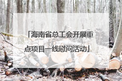 海南省总工会开展重点项目一线慰问活动