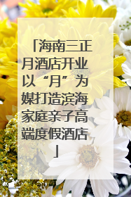 海南三正月酒店开业以“月”为媒打造滨海家庭亲子高端度假酒店