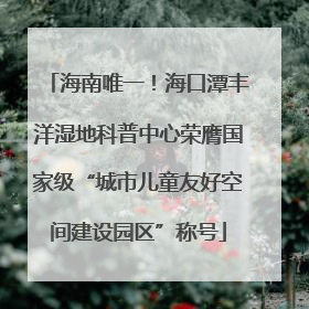 海南唯一！海口潭丰洋湿地科普中心荣膺国家级“城市儿童友好空间建设园区”称号