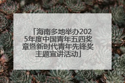 海南多地举办2025年度中国青年五四奖章暨新时代青年先锋奖主题宣讲活动