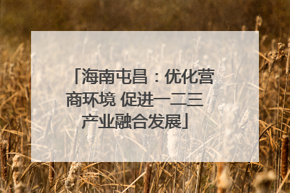 海南屯昌：优化营商环境 促进一二三产业融合发展