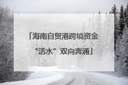 海南自贸港跨境资金“活水”双向奔涌