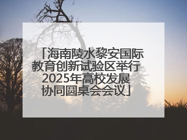 海南陵水黎安国际教育创新试验区举行2025年高校发展协同圆桌会会议