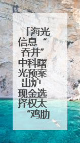 海光信息“吞并”中科曙光预案出炉 现金选择权太“鸡肋”？业内人士：企业不想大量现金流出