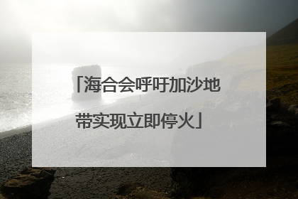 海合会呼吁加沙地带实现立即停火
