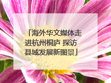 海外华文媒体走进杭州桐庐 探访县域发展新图景