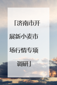 济南市开展新小麦市场行情专项调研