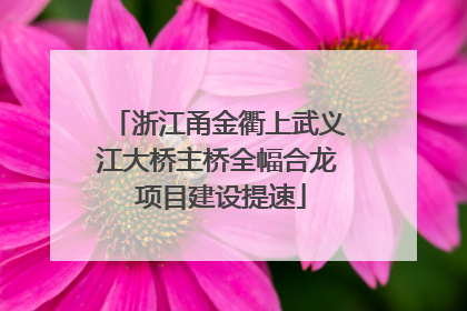 浙江甬金衢上武义江大桥主桥全幅合龙 项目建设提速