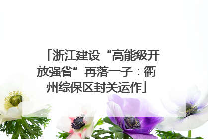 浙江建设“高能级开放强省”再落一子：衢州综保区封关运作