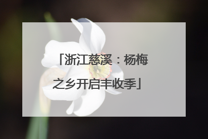 浙江慈溪：杨梅之乡开启丰收季