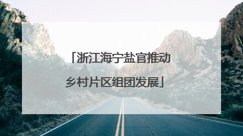 浙江海宁盐官推动乡村片区组团发展