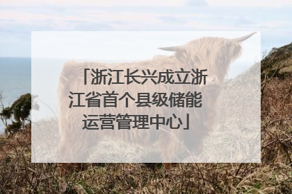 浙江长兴成立浙江省首个县级储能运营管理中心