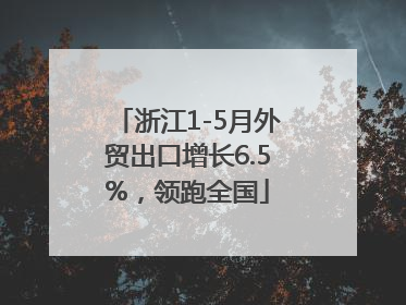 浙江1-5月外贸出口增长6.5%，领跑全国