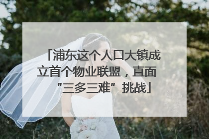 浦东这个人口大镇成立首个物业联盟，直面“三多三难”挑战