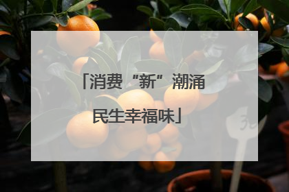 消费“新”潮涌 民生幸福味