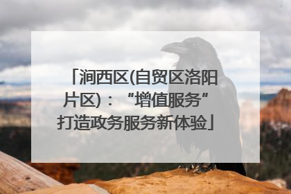 涧西区(自贸区洛阳片区)：“增值服务”打造政务服务新体验